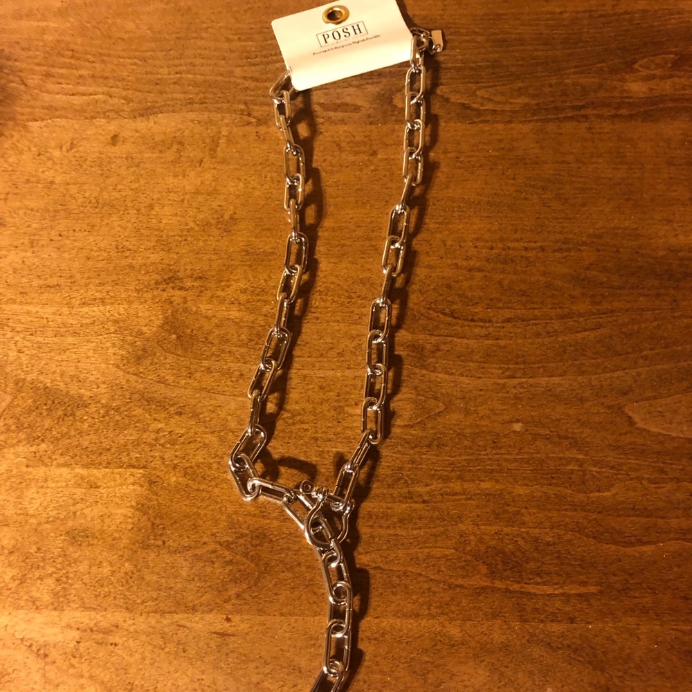 POSH by Pink Panache Necklace